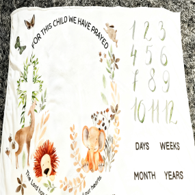 Baby Blanket Manufacturer - 3D Hot Pressed Antibacterial Texture