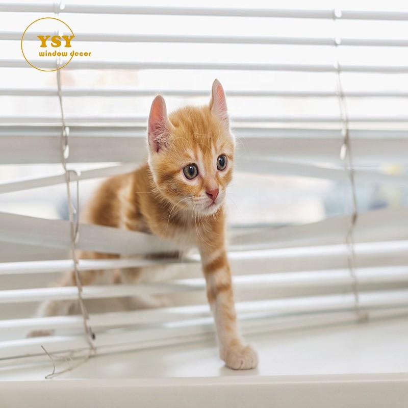 Aluminum Blinds Manufacturer - Waterproof Horizontal Manual