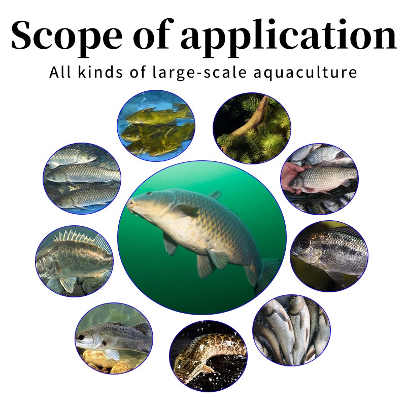 A Mixed Feed Additive Used for Fish Growth and Reproduction to Increase Nutrition
