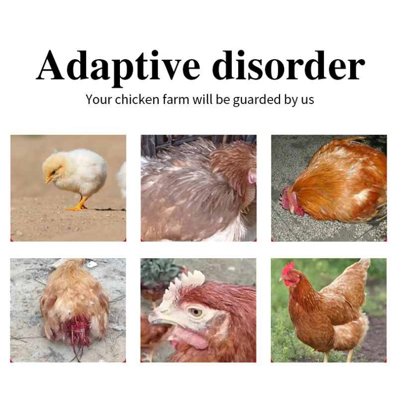 Wholesale Price Nutritional Additives Poultry Vitamins Growth Promoter Feed Additives