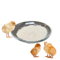 Factory Direct Sales 5% Chick Premix Enhanced Nutrition and Growth Promotion for Stress Resistance Animal Feed
