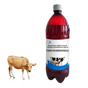 Healthy Animal Feed Ruminant Feed Additives for Cattle Regulating the Intestines