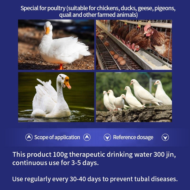 Veterinary Use Feed Additive Layer Chicken Anti-inflammatory Peritonitis Improve Egg Laying Rate