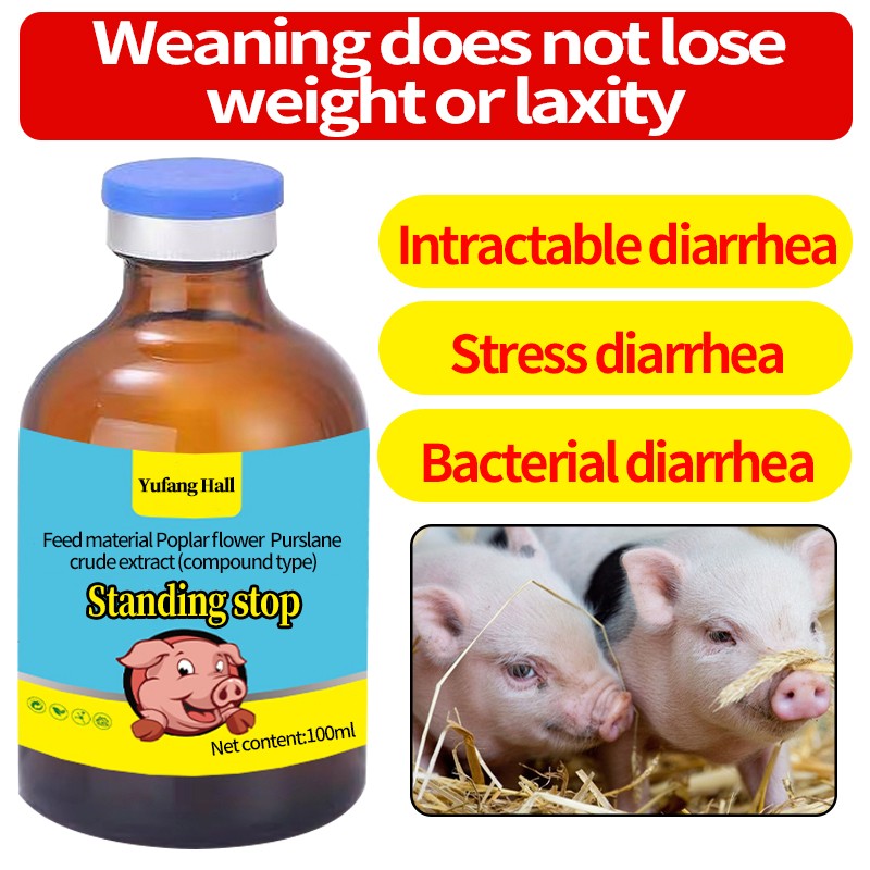 Animal Feed Additives Improve Gut Function