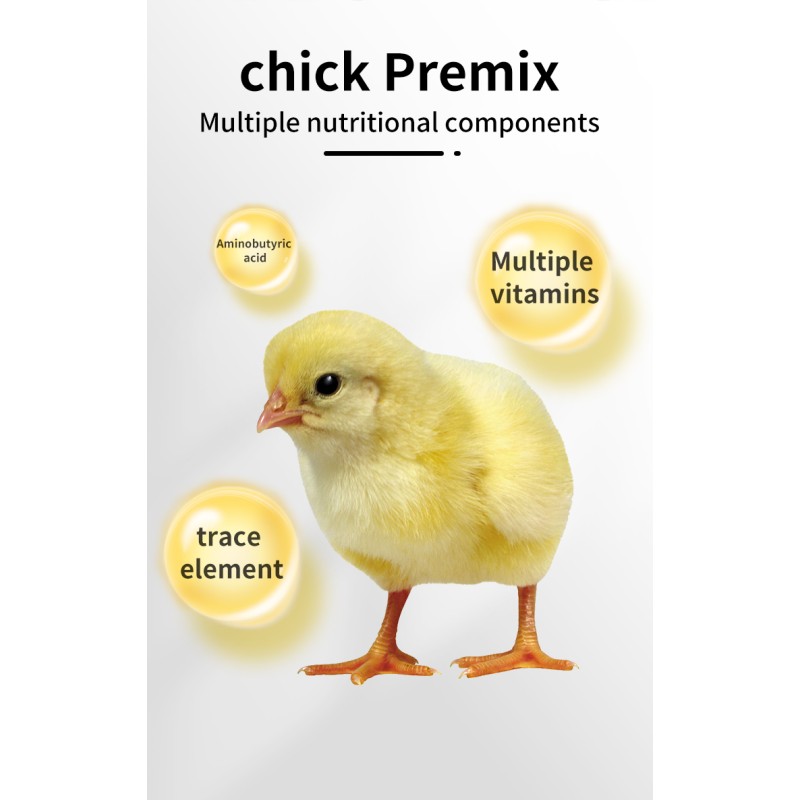 Factory Direct Sales 5% Chick Premix Enhanced Nutrition and Growth Promotion for Stress Resistance Animal Feed