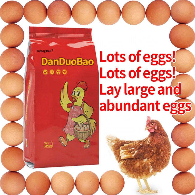 Improve Chick Chicken Poultry Egg Production and Fertilization Rate Eggs Layer Feed Additives Improve Eggshell Quality