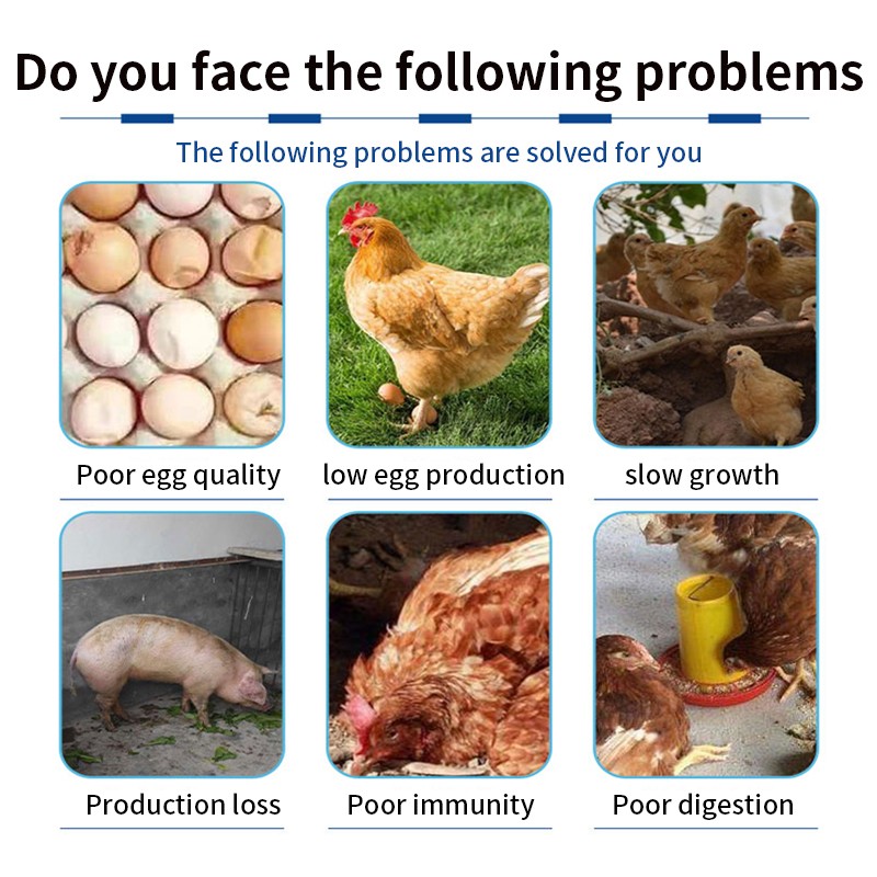 Good Effect Vitamin Organic Premix Rapid Growth Pig Cow Sheep Feed Additives Livestock Feed