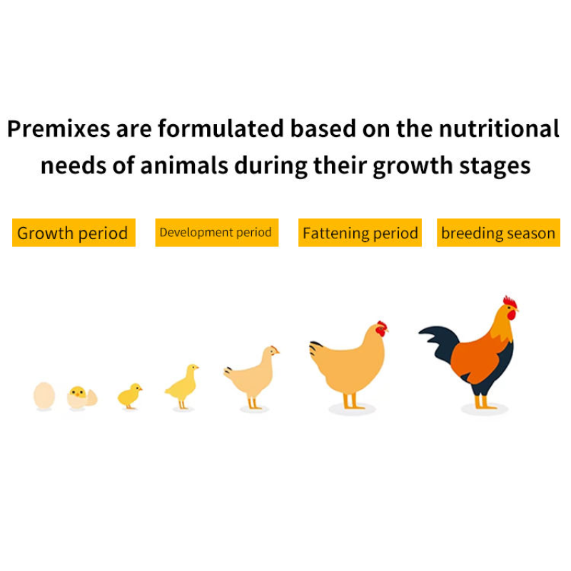 High Protein Chicken Concentrate Feed Premix for Layers and Broilers