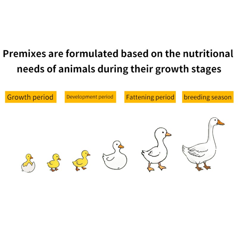 Wholesale Price Duckling Premix Supplement OEM Factory for Duckling Growth Booster Feed Amino Acid Premix