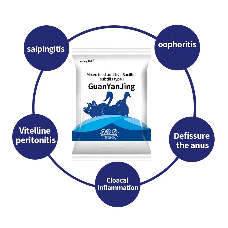 Veterinary Use Feed Additive Layer Chicken Anti-inflammatory Peritonitis Improve Egg Laying Rate