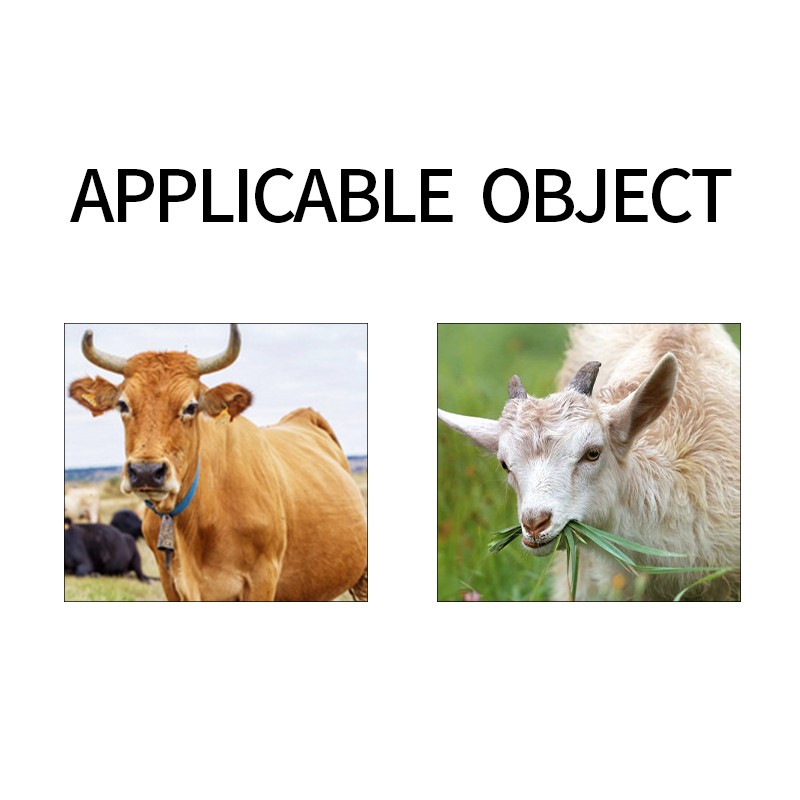 Quick Effect Probiotics Animal Regulating the Intestines Pig Horse Cattle Feed Additives