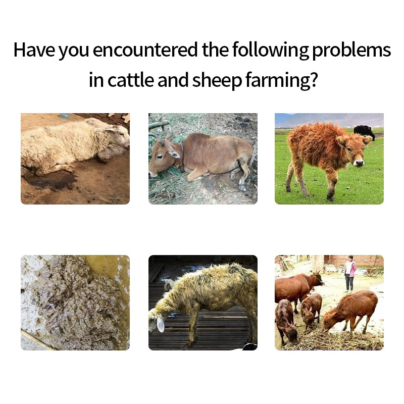 Good Effect Livestock Feed	cattle Feed Animal Feed Additives