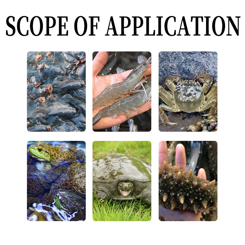 High Activity Bacillus Subtilis Used in Aquaculture Feed for Freshwater Aquaculture of Fish, Shrimp, and Crabs