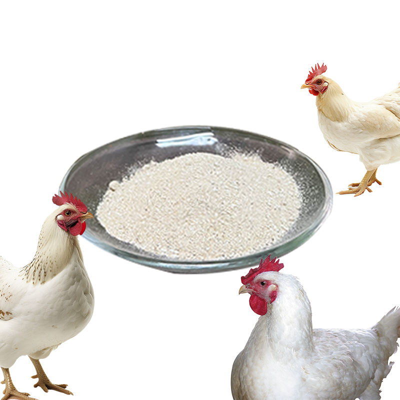 High Protein Chicken Concentrate Feed Premix for Layers and Broilers