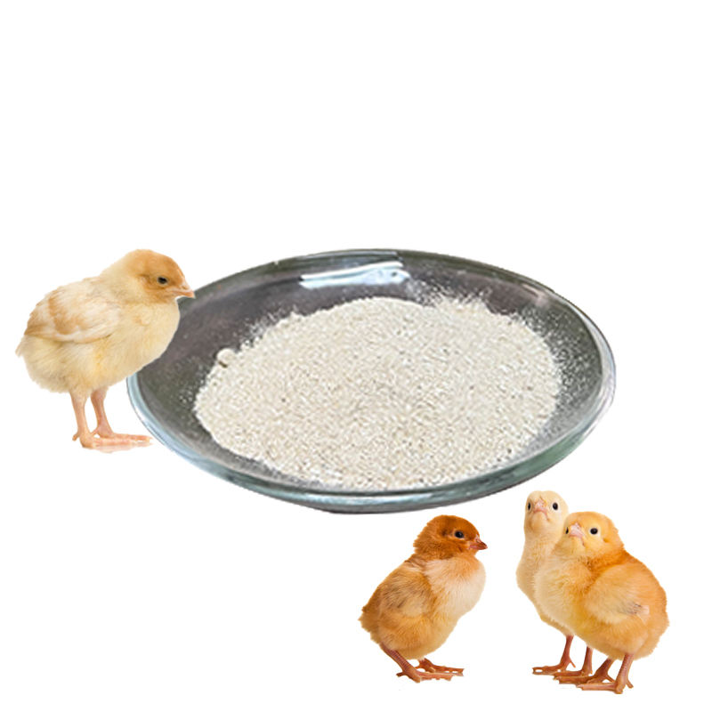 Good Quality Chicken Food Feed Additive Premix for Layers and Broilers
