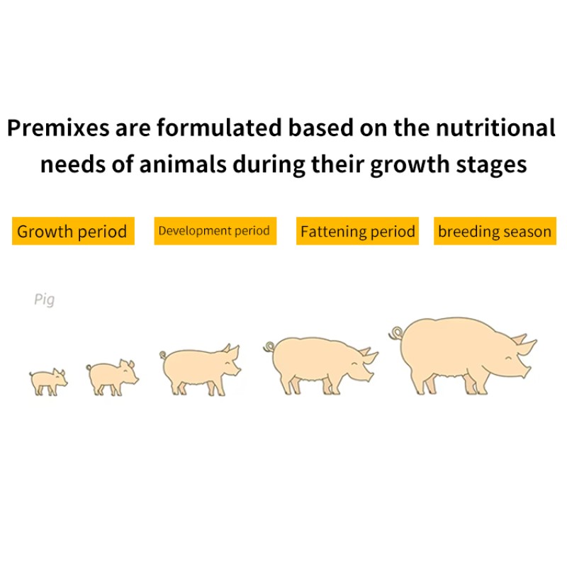 OEM/ODM Custom 4% Piglet Feed Compound Premix for Nutrition Enhancement Piglet Growth Booster Swine Premix