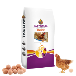 High Protein Chicken Concentrate Feed Premix for Layers and Broilers