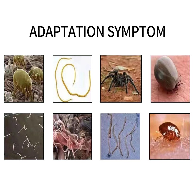 Good Effect Internal and External Deworming Livestock Use Animal Feed Additives