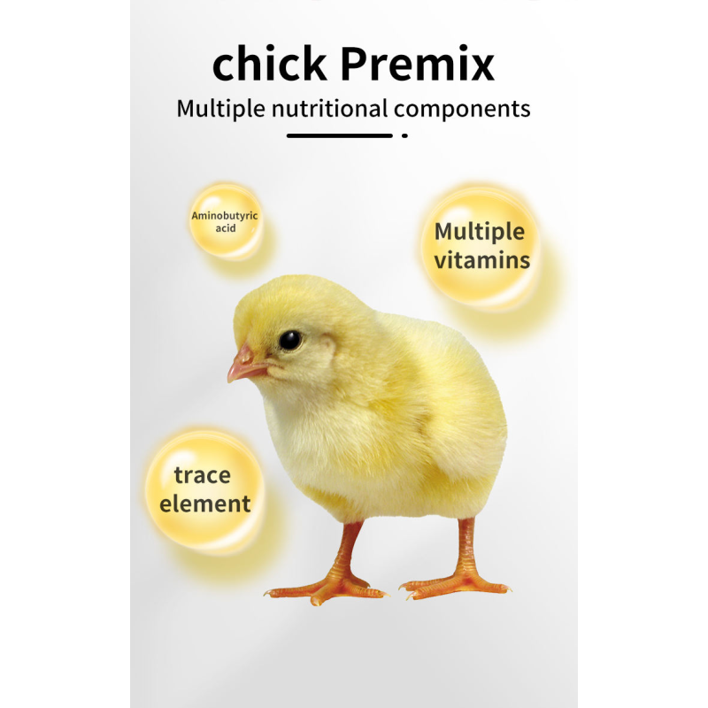 Good Quality Chicken Food Feed Additive Premix for Layers and Broilers