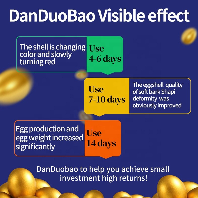 Improve Chick Chicken Poultry Egg Production and Fertilization Rate Eggs Layer Feed Additives Improve Eggshell Quality