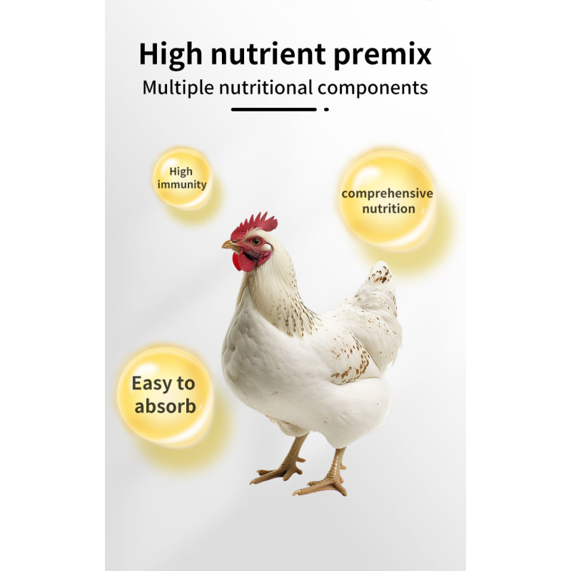 Egg Duck Premixed Food Feed of Layers Chicken for Middle Late Stage Hens
