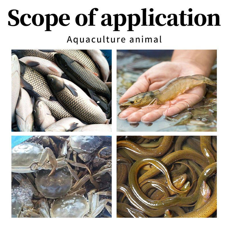 Wholesale Vitamin Premix for Fish Vitamins Premix in Aquaculture for Fish Shrimp Promote Growth