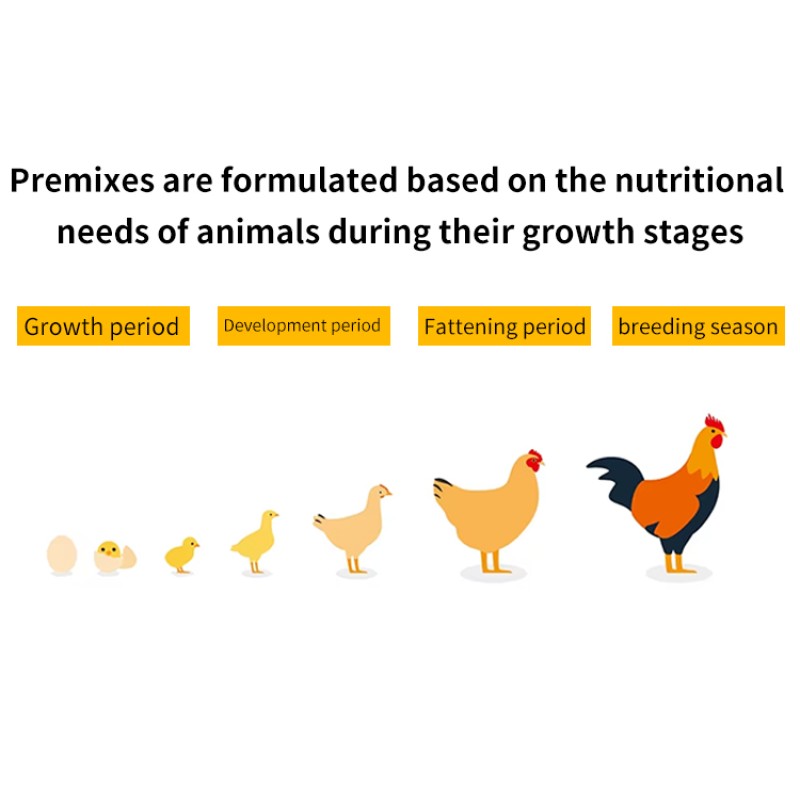 Broilers Premix Feed Formula Animal Feed Grade High Protein Chicken Concentrate Premix Enzyme Type