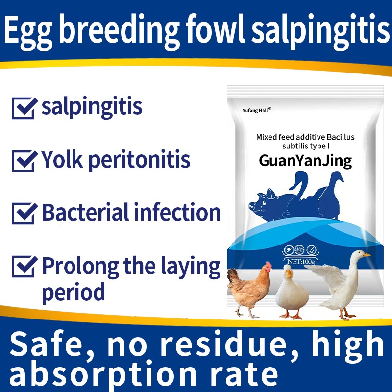 Veterinary Feed Additive for Layer Chicken Anti-inflammatory Salpingitis in Laying Hens Prolongs Peak Laying Period Vitamin Type