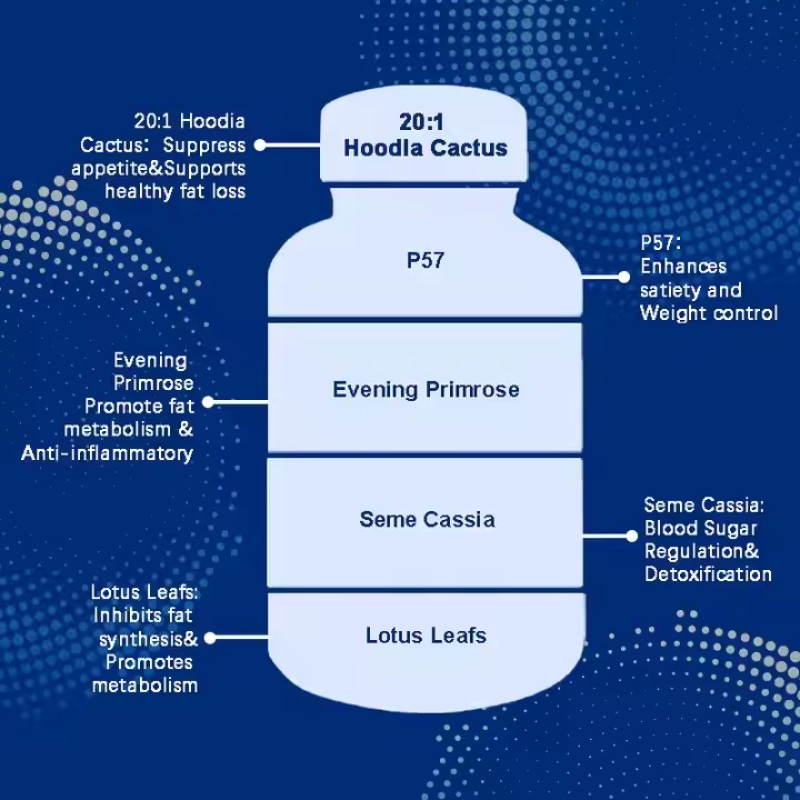 Weight Loss Capsules Manufacturer - Solvent Extracted Powder OEM