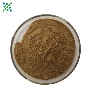 Gardenia Extract Supplier - 30% Gardenoside Powder OEM