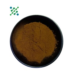 Probiotics Powder Factory - Lactobacillus Plantarum Food Grade