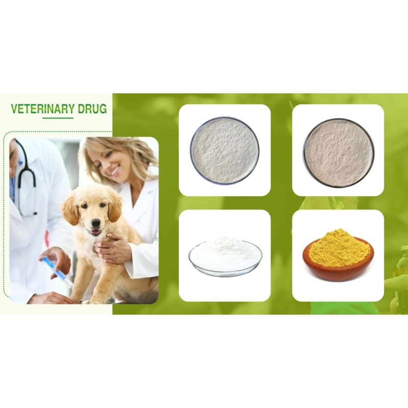 20-Hydroxyecdysone Factory - 40-98% Plant Extract Bulk