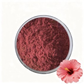 Hibiscus Flower Extract Supplier - 20:1 Powder Organic