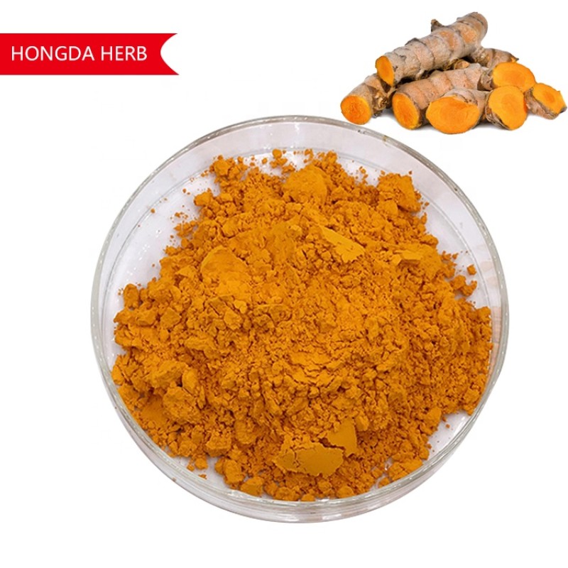 Turmeric Extract Supplier - 95% Curcumin ISO Certified
