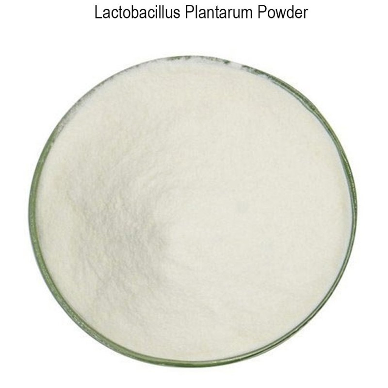 Monk Fruit Sweetener Manufacturer - 10:1 20:1 Extract Powder