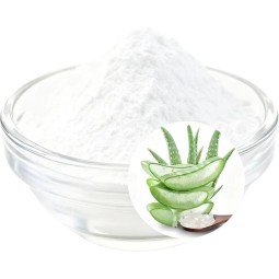 Aloe Vera Extract Supplier - 100:1 Powder Capsules