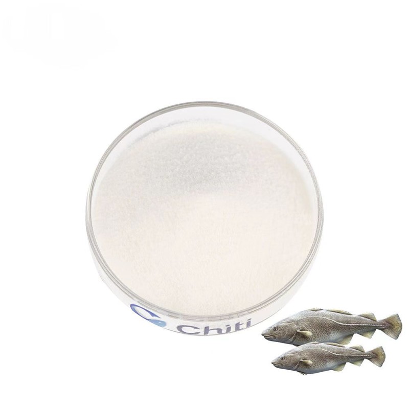 Fish Collagen Powder Factory - 98% Peptide Scales