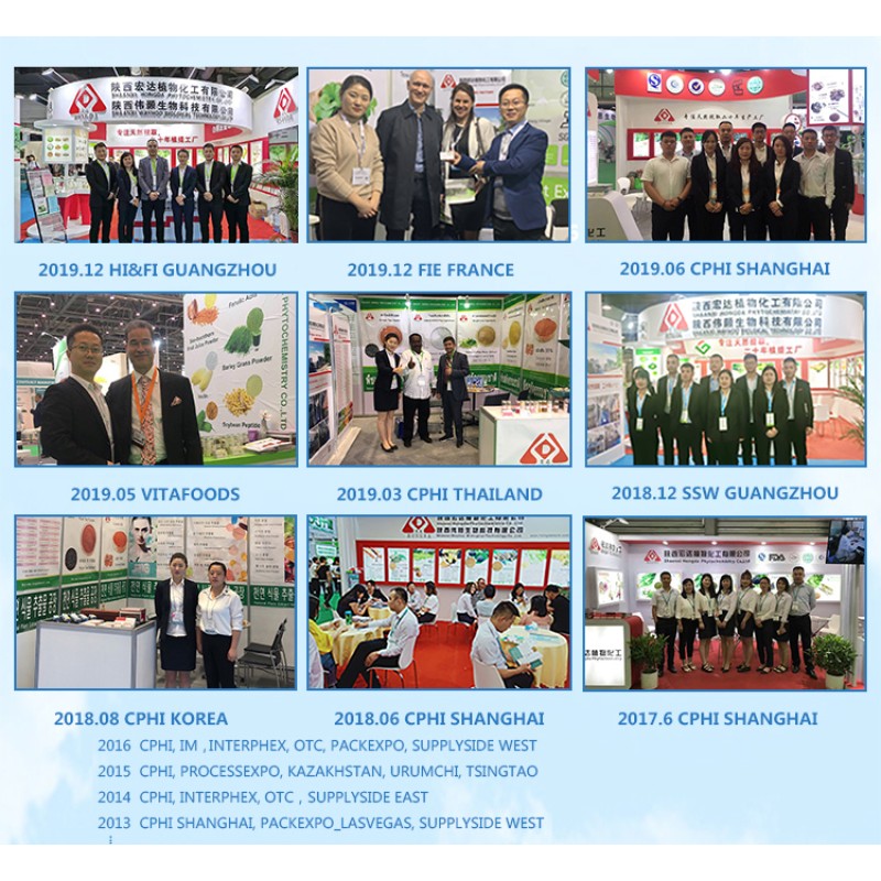 Monk Fruit Sweetener Manufacturer - Organic Extract Powder