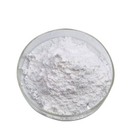 GABA Powder Manufacturer - Food Grade Supplement