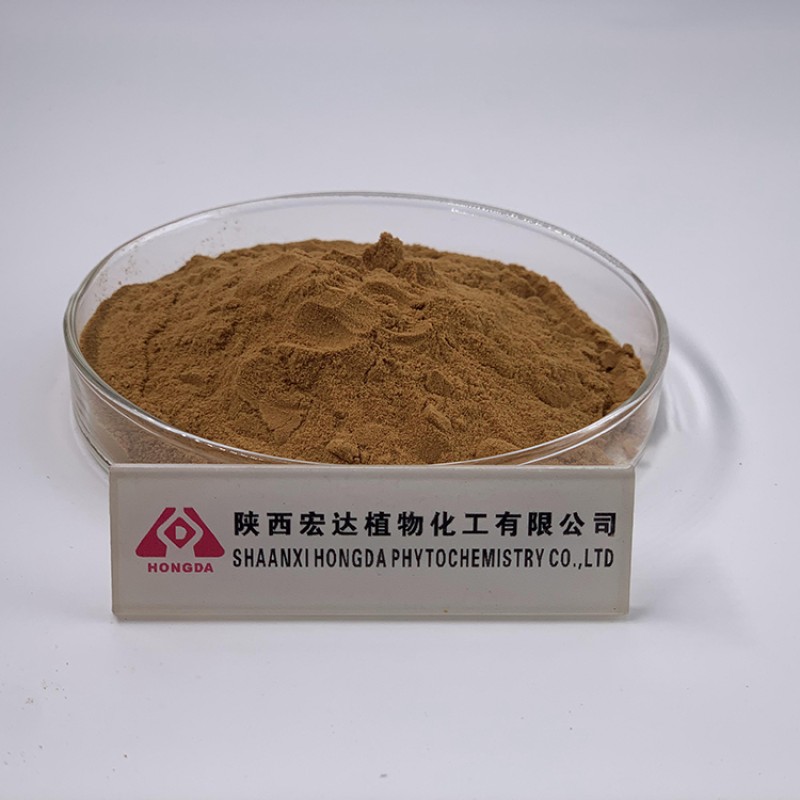 Maitake Mushroom Powder Factory - 50% Polysaccharides 10:1