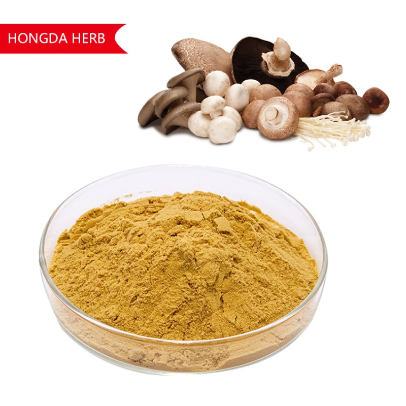 Monk Fruit Extract Supplier - 50% Mogroside V Powder