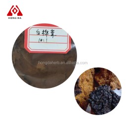 Chaga Mushroom Powder Factory - 30% 50% Extract