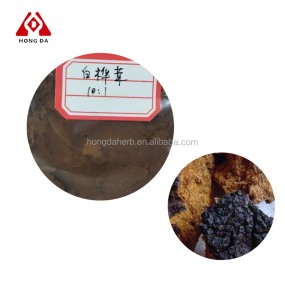 Chaga Mushroom Powder Factory - 30% 50% Extract