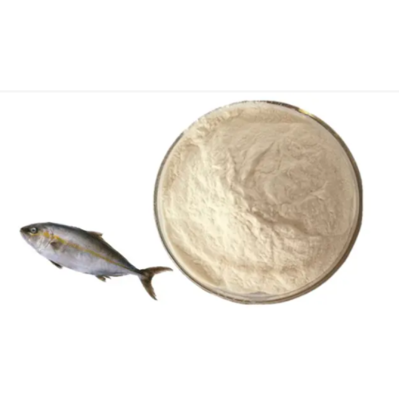 Collagen Powder Factory - Food Grade Small Molecule