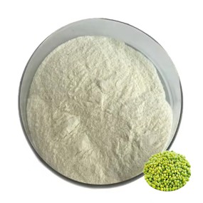 Mung Bean Protein Manufacturer - Peptide Isolate Powder