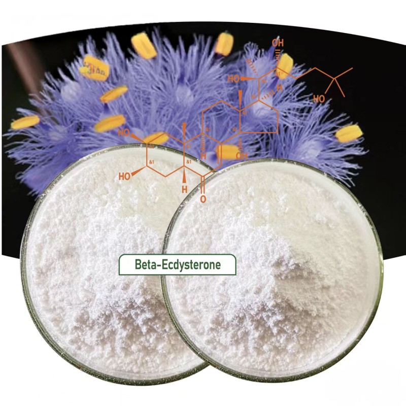 Beta Ecdysterone Supplier - Dew Water Grass Extract