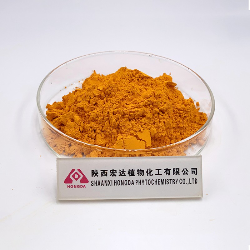 Turmeric Curcumin Extract Manufacturer - 95% Powder Organic