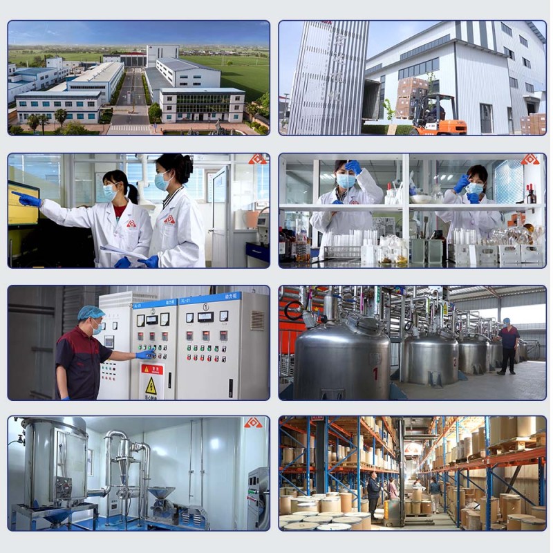 Adenosine Powder Factory - SAMe 99% Supplement