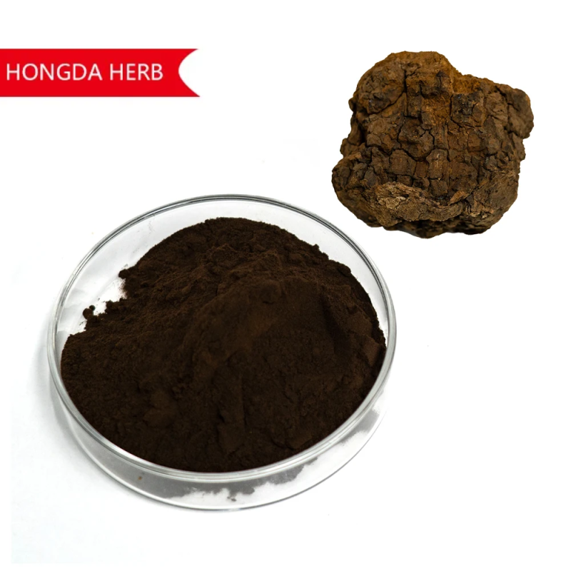 Chaga Mushroom Extract Factory - 30% 50% Polysaccharides