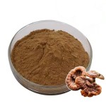 Mushroom Powder